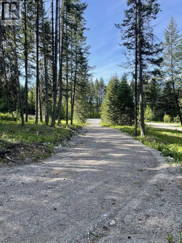 893 Crandall Road, Golden, British Columbia  V0A 1H2 - Photo 5 - 10389096