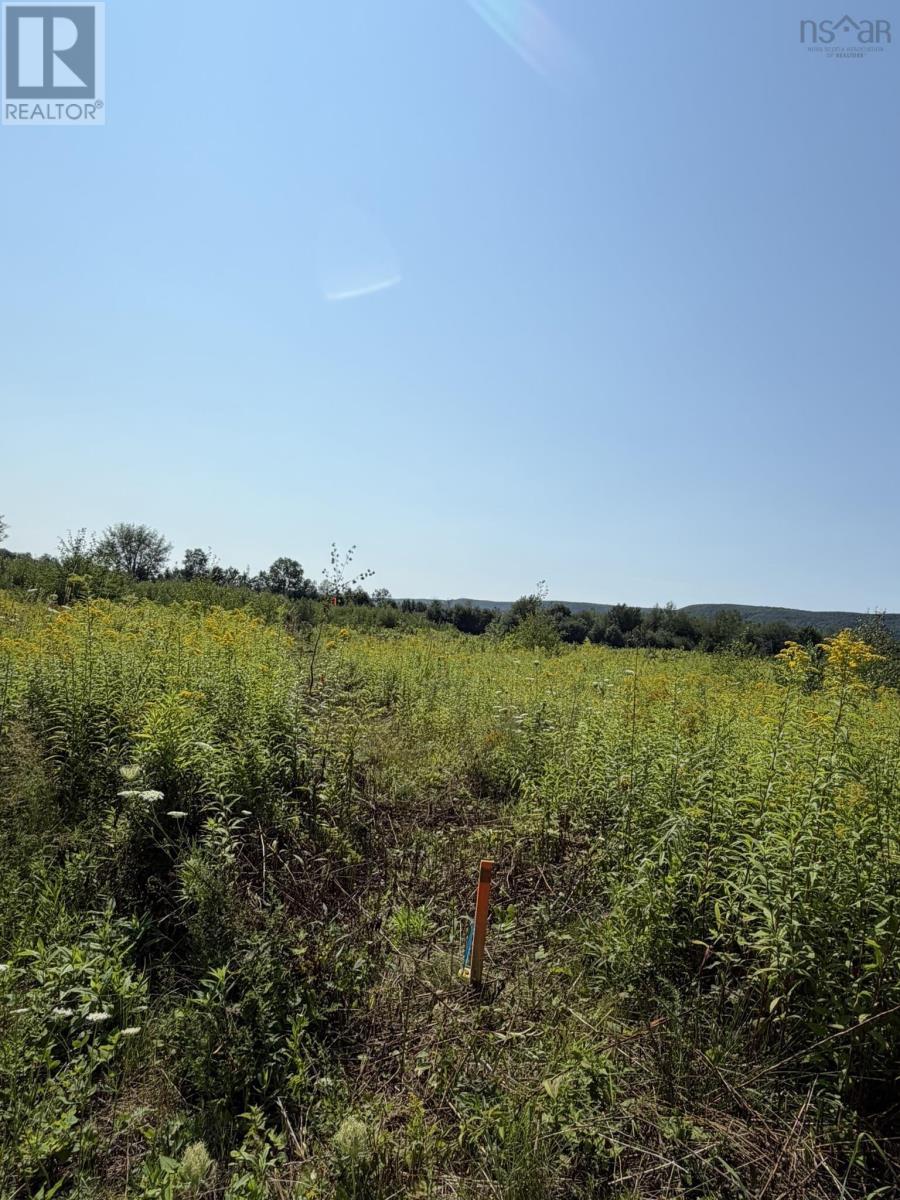 Lot 26-2 Balcom Road, Clarence, Nova Scotia  B0S 1R0 - Photo 5 - 202609902