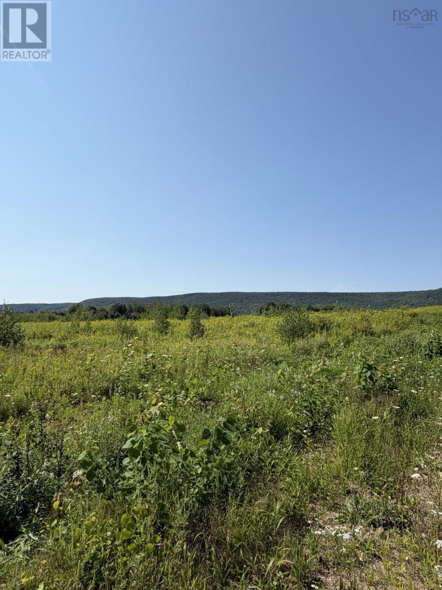 Lot 26-4 Balcom Road, Clarence, Nova Scotia  B0S 1R0 - Photo 5 - 202609904