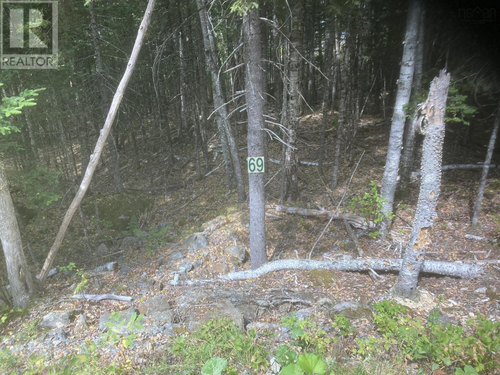 Lot 69 Piper Lane, Vaughan, Nova Scotia  B0N 2T0 - Photo 4 - 202524747