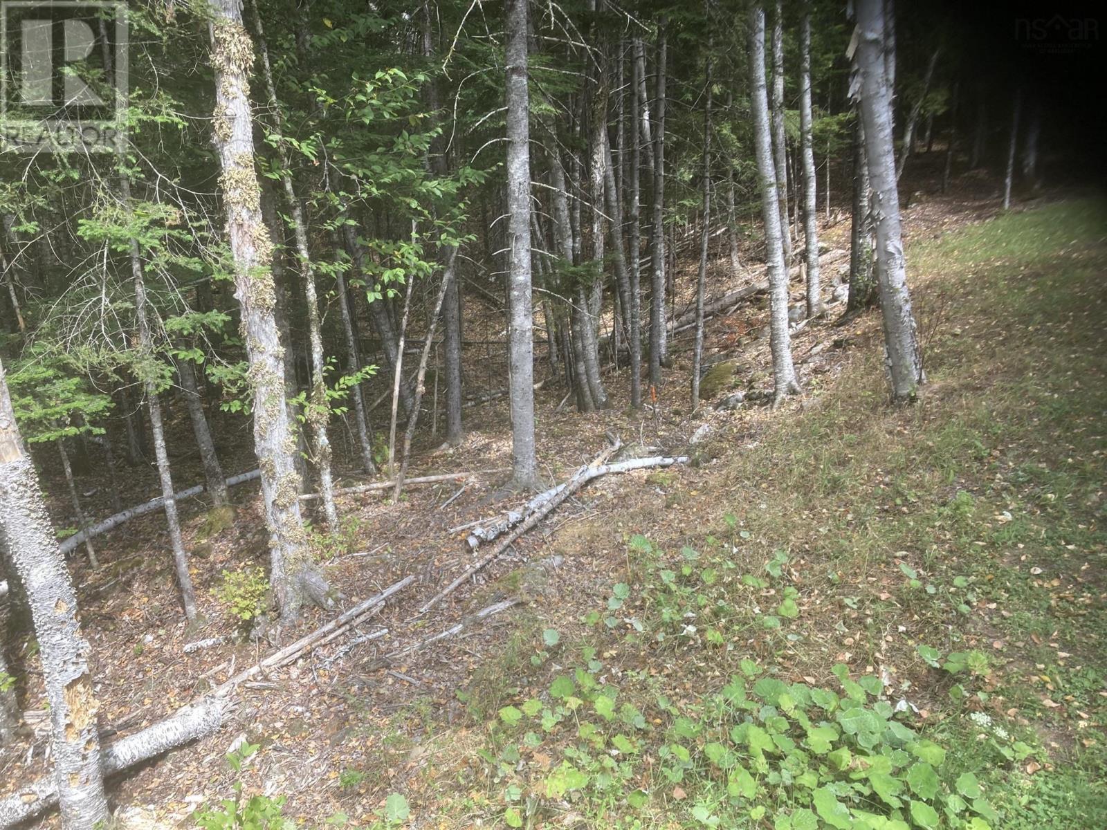 Lot 69 Piper Lane, Vaughan, Nova Scotia  B0N 2T0 - Photo 5 - 202524747