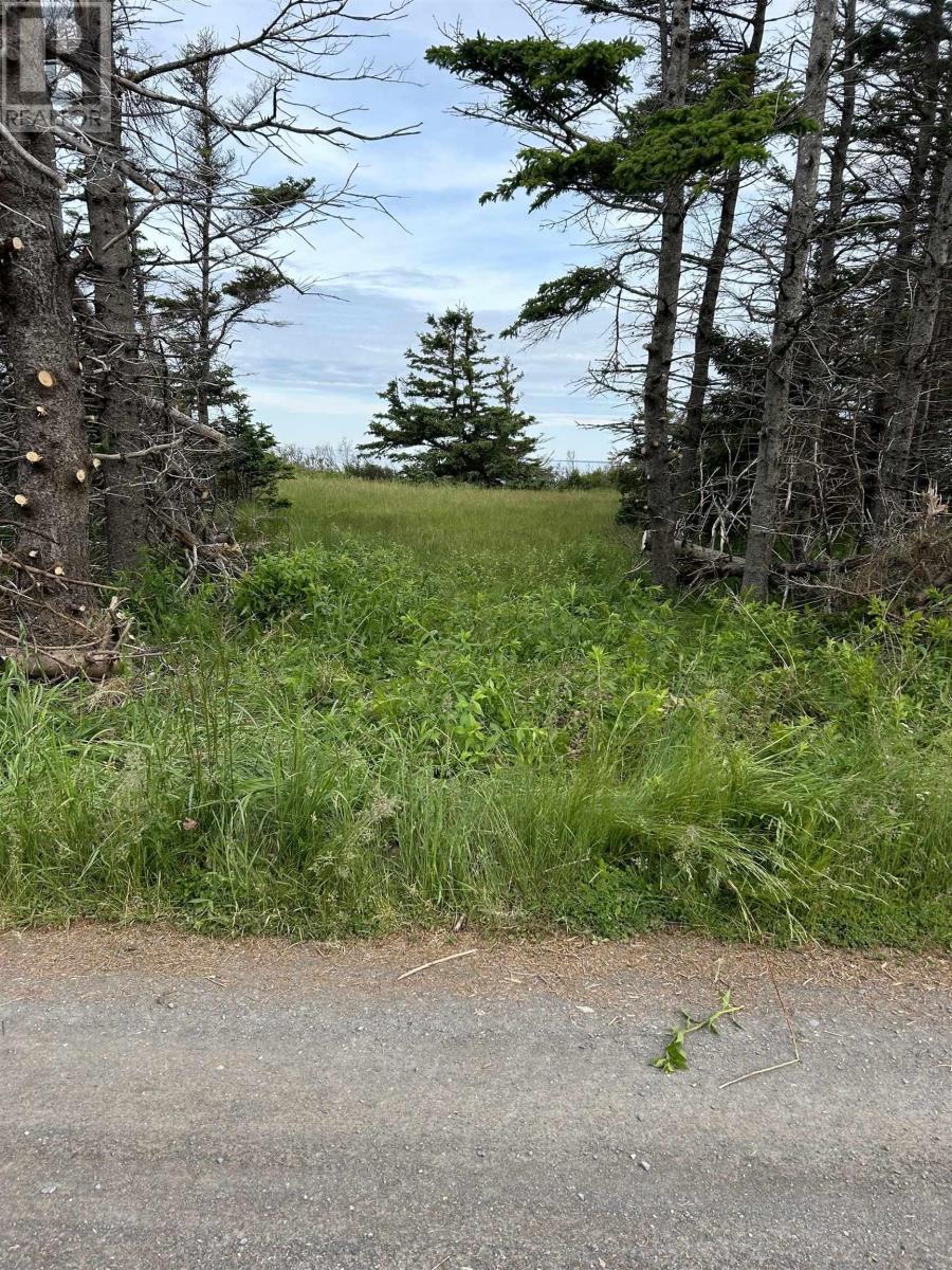 Lot Roys Island, Kings Head, Nova Scotia  B2H 5C5 - Photo 5 - 202617383