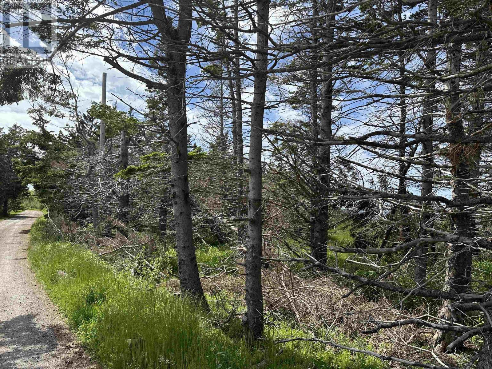 Lot Roys Island, Kings Head, Nova Scotia  B2H 5C5 - Photo 6 - 202617383