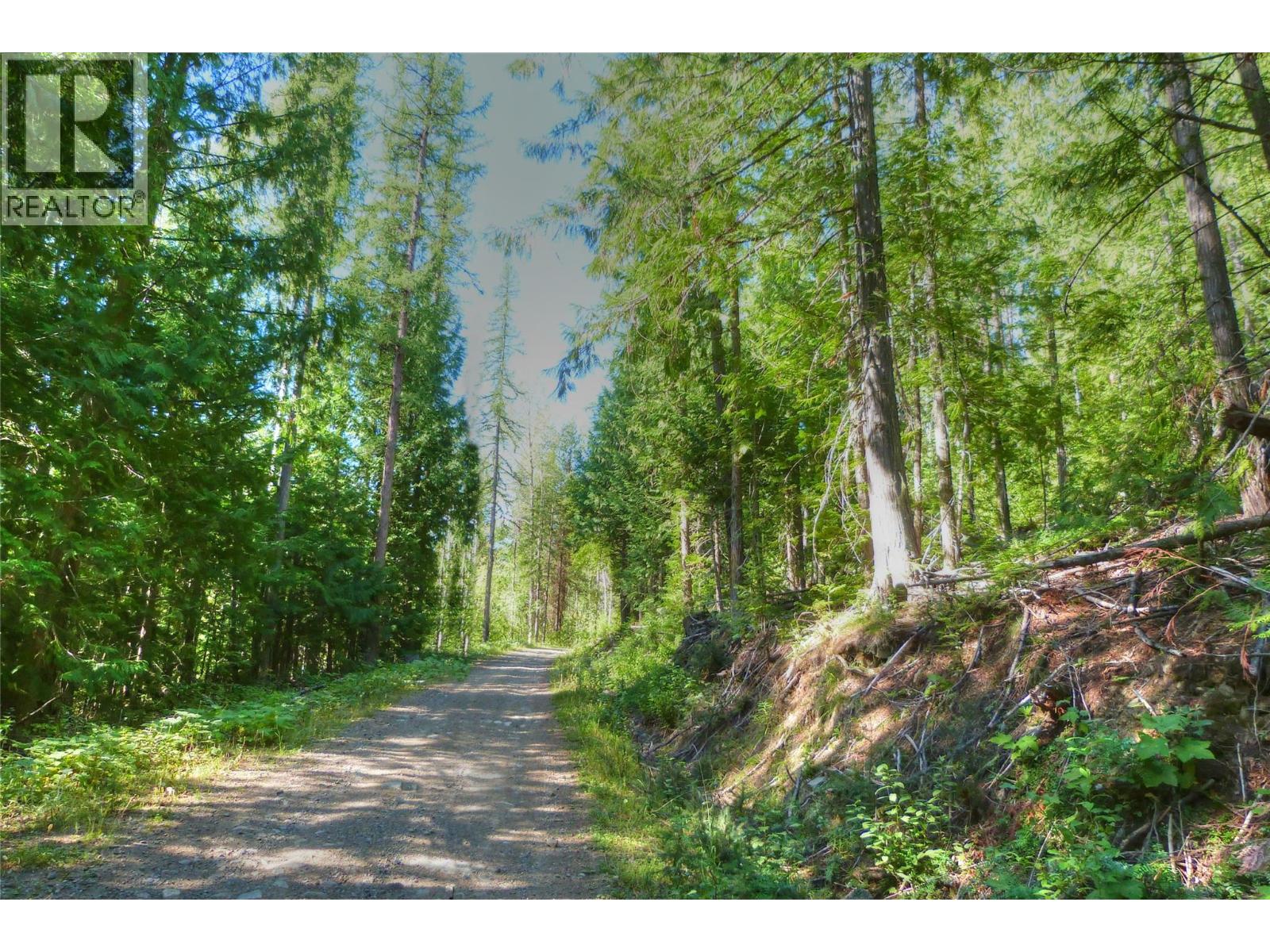 13200 Eholt-Jewel Lake Road, Greenwood, British Columbia  V0H 1J0 - Photo 8 - 10391417