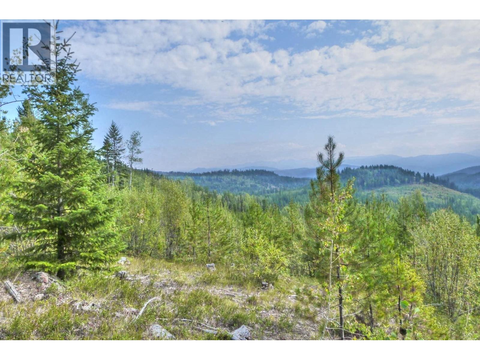 13200 Eholt-Jewel Lake Road, Greenwood, British Columbia  V0H 1J0 - Photo 4 - 10391417