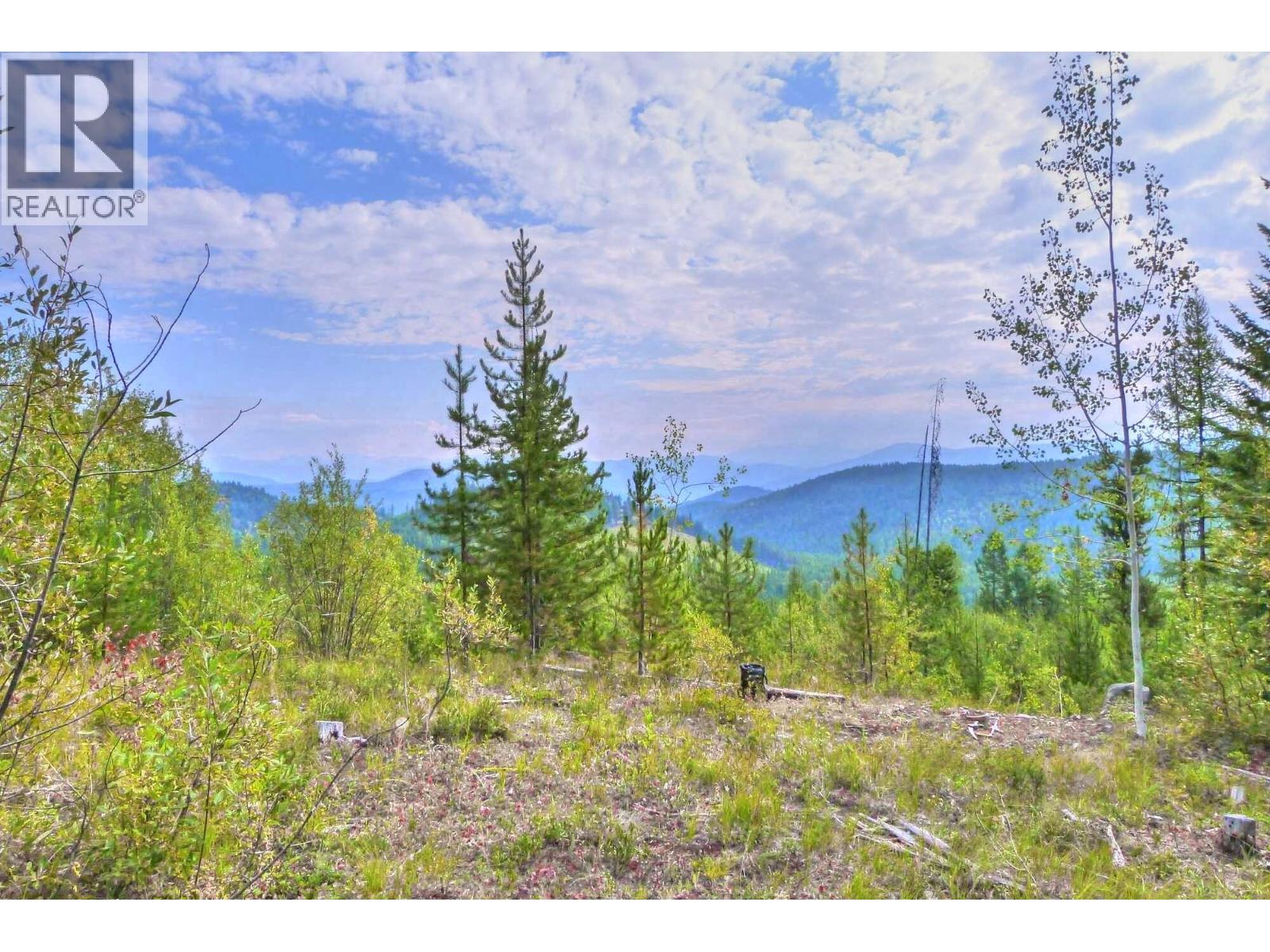 13200 Eholt-Jewel Lake Road, Greenwood, British Columbia  V0H 1J0 - Photo 12 - 10391417