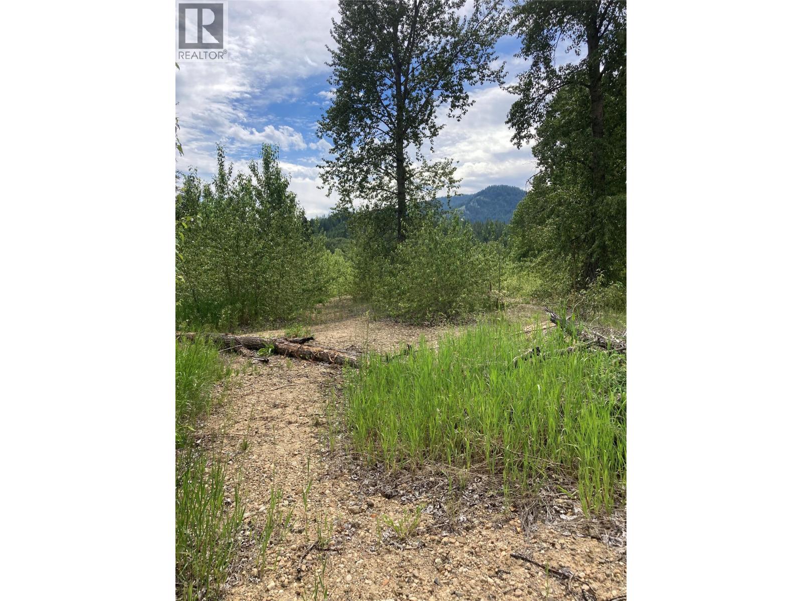10000 North Fork Road, Grand Forks, British Columbia  V0H 1H8 - Photo 12 - 10392929