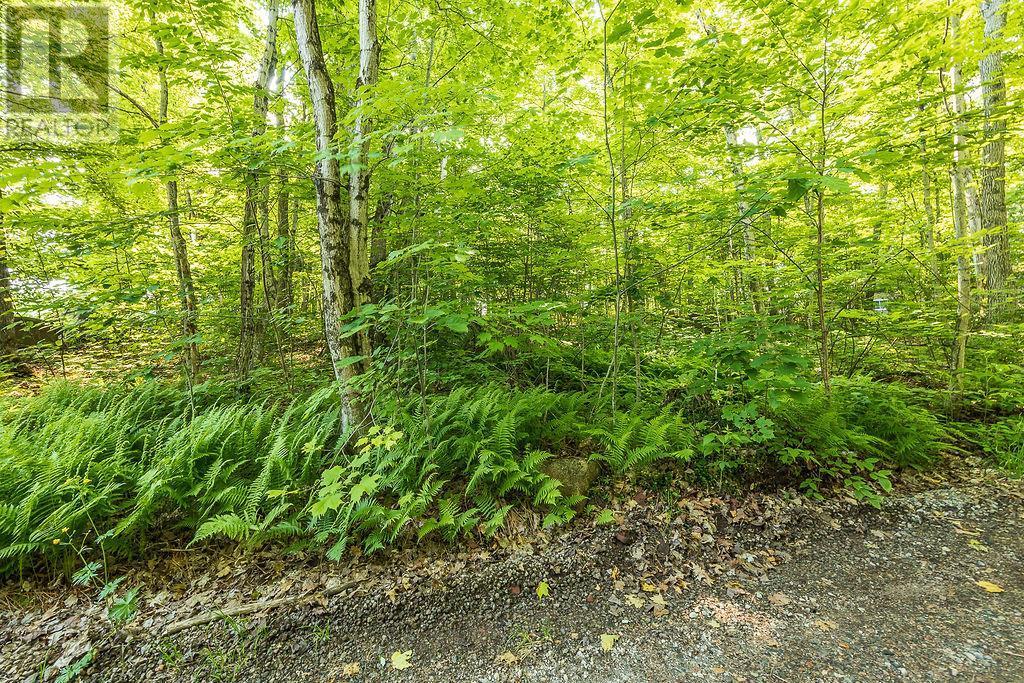 1089 Prince Lake Rd, Prince Township, Ontario  P6A 6K4 - Photo 28 - SM261711