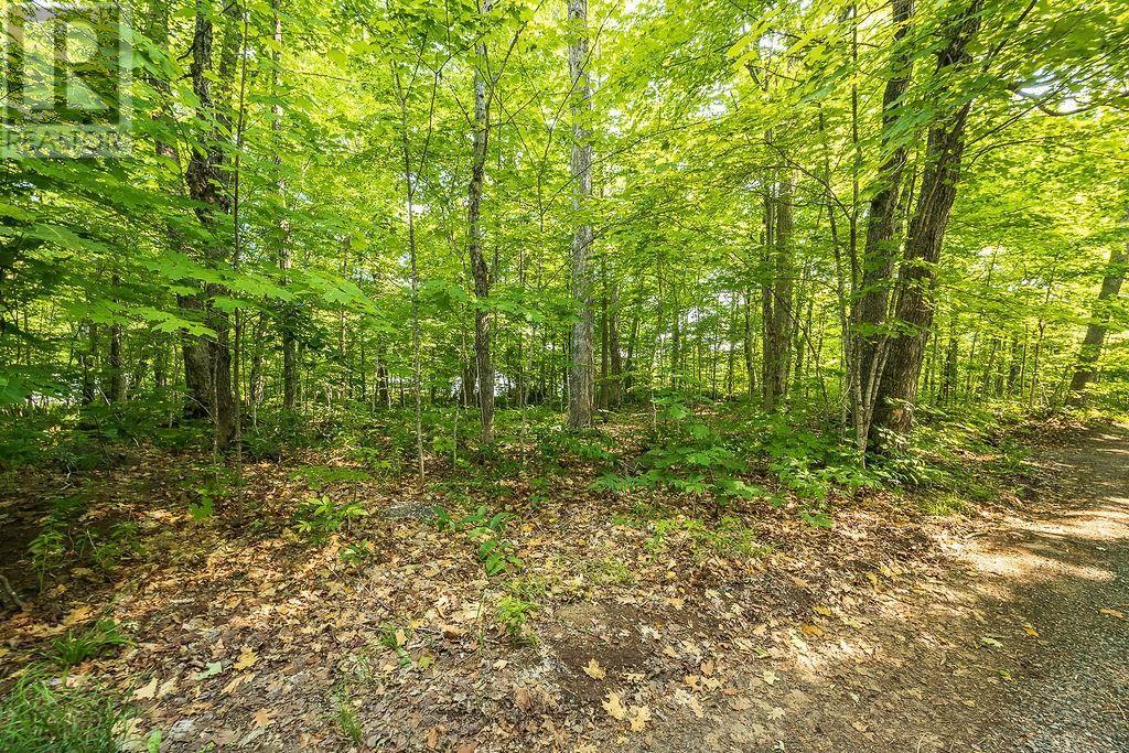 1089 Prince Lake Rd, Prince Township, Ontario  P6A 6K4 - Photo 29 - SM261711