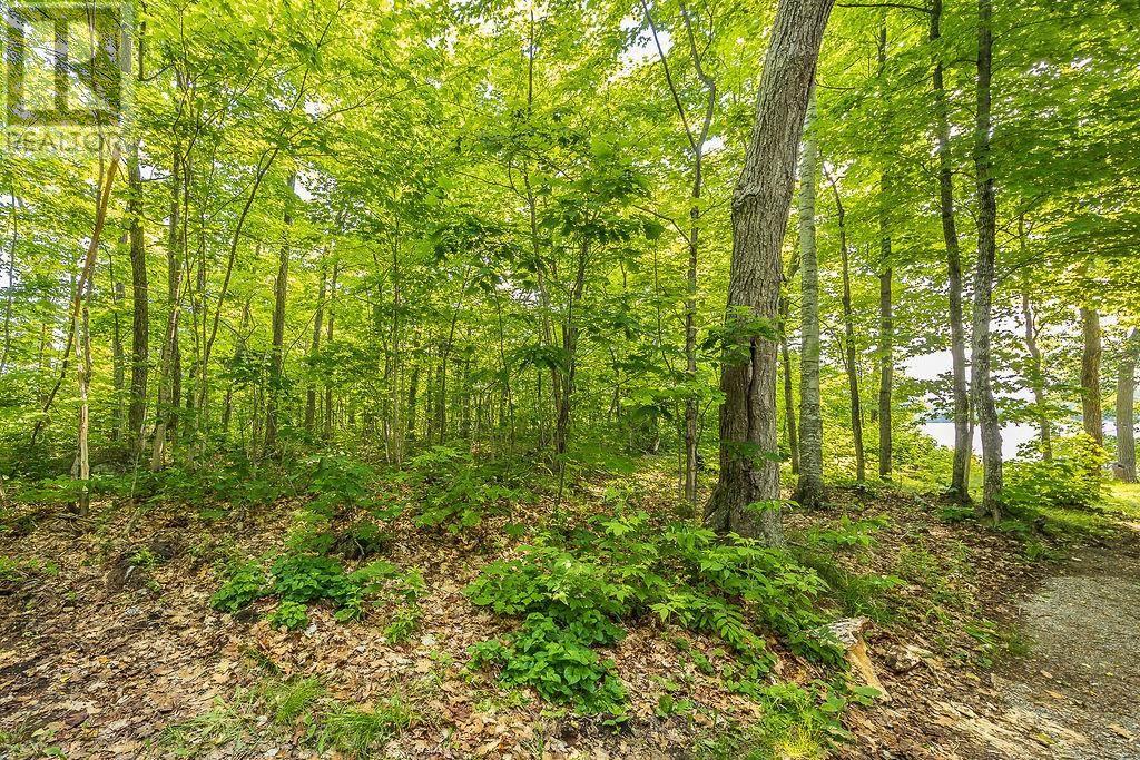 1089 Prince Lake Rd, Prince Township, Ontario  P6A 6K4 - Photo 32 - SM261711