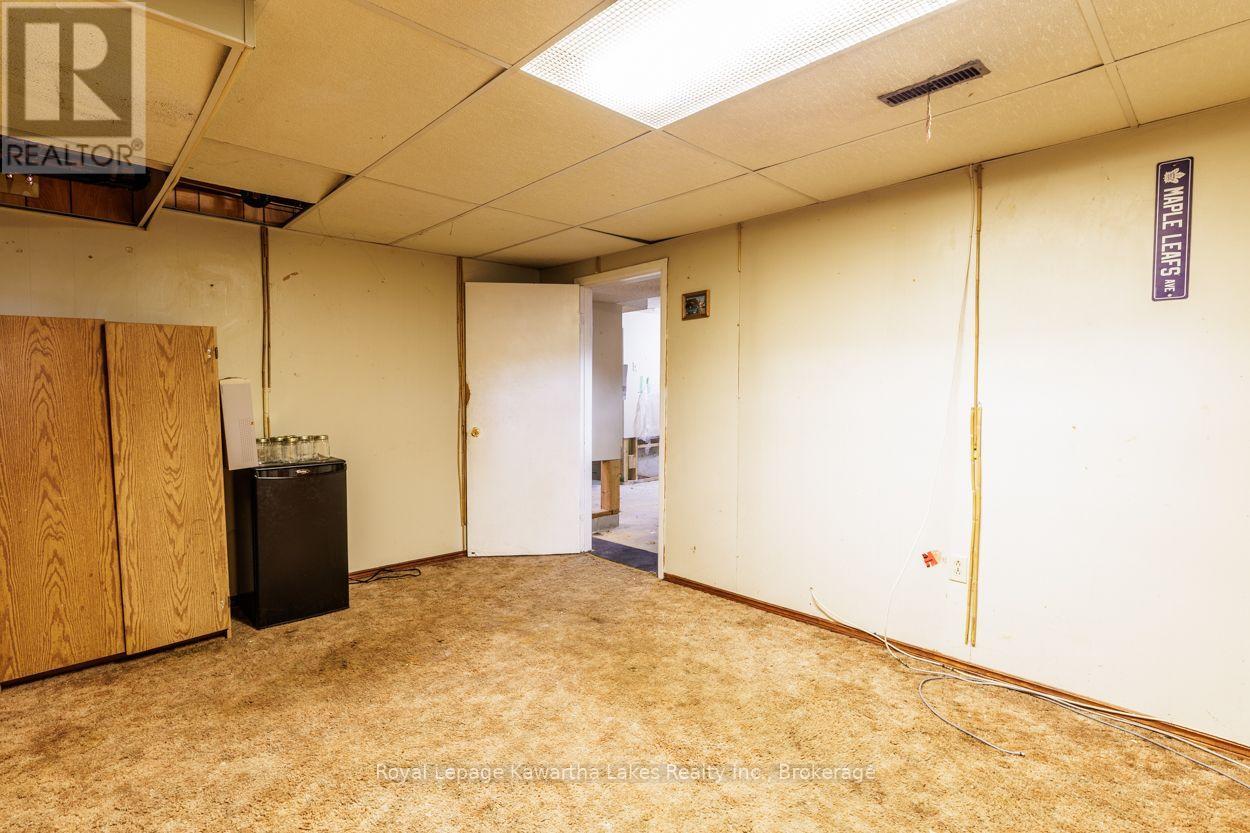 45 Sinclair Street, Kawartha Lakes, Ontario  K9V 5L6 - Photo 36 - X13670720