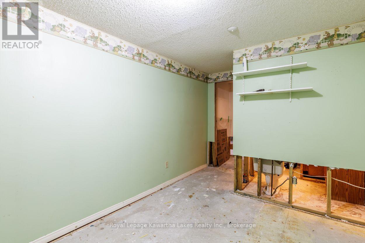 45 Sinclair Street, Kawartha Lakes, Ontario  K9V 5L6 - Photo 38 - X13670720