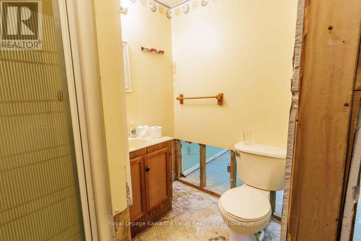 45 Sinclair Street, Kawartha Lakes, Ontario  K9V 5L6 - Photo 39 - X13670720