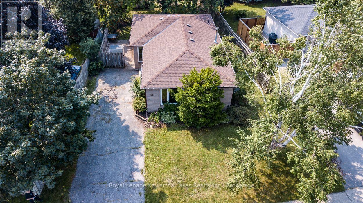 45 Sinclair Street, Kawartha Lakes, Ontario  K9V 5L6 - Photo 48 - X13670720