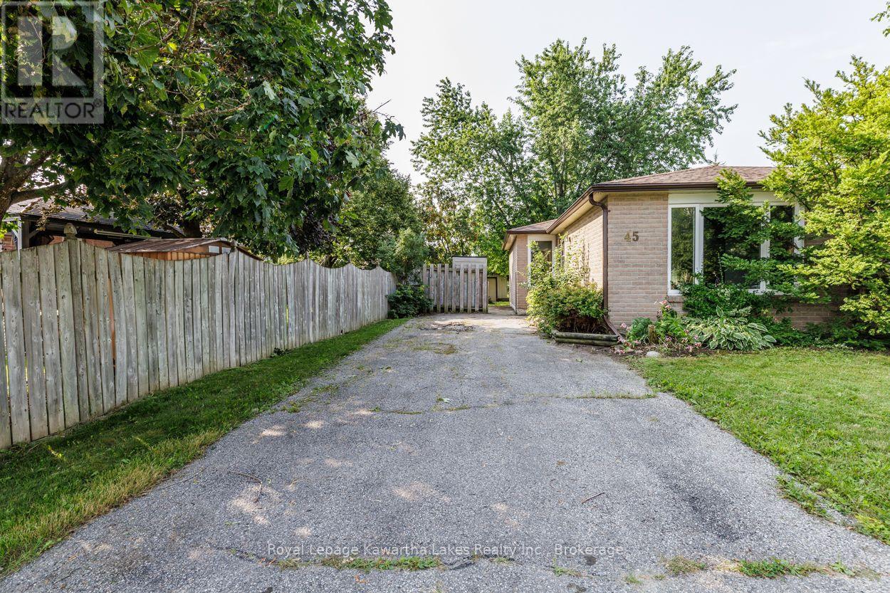 45 Sinclair Street, Kawartha Lakes, Ontario  K9V 5L6 - Photo 5 - X13670720