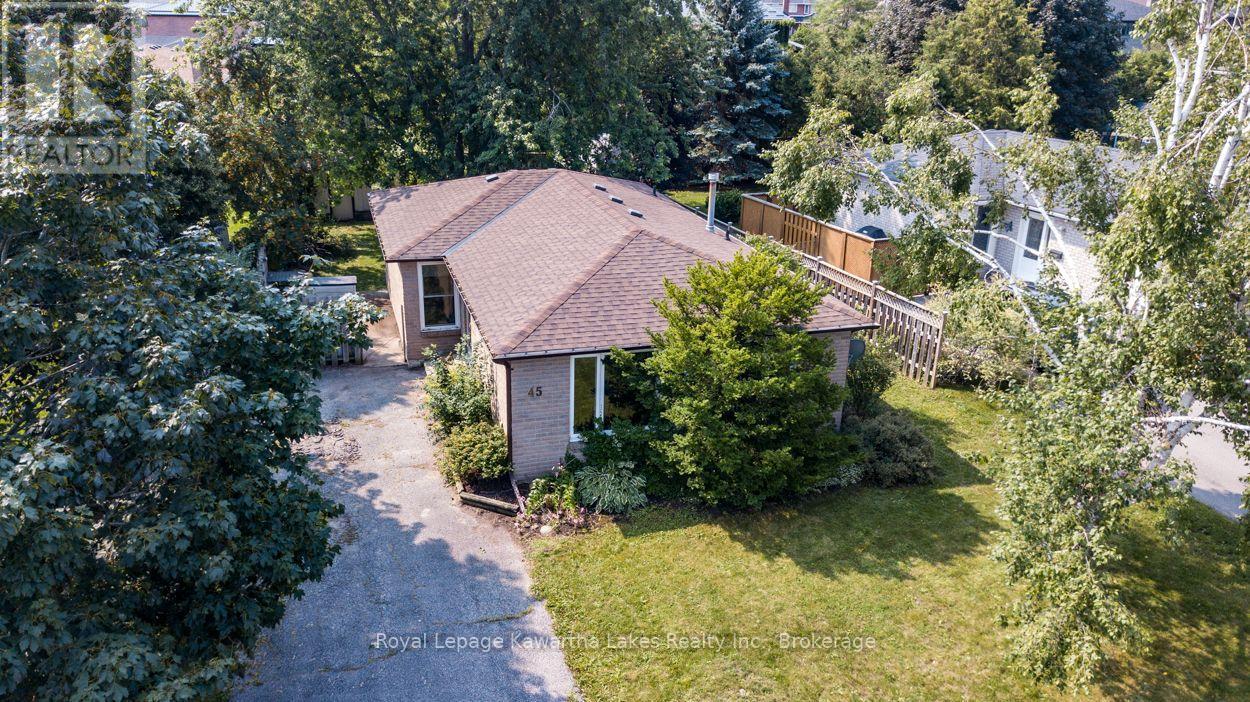 45 Sinclair Street, Kawartha Lakes, Ontario  K9V 5L6 - Photo 50 - X13670720