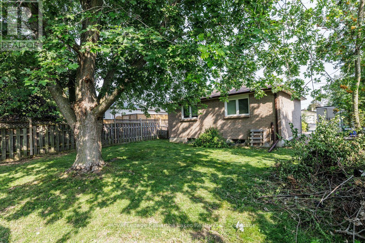 45 Sinclair Street, Kawartha Lakes, Ontario  K9V 5L6 - Photo 9 - X13670720