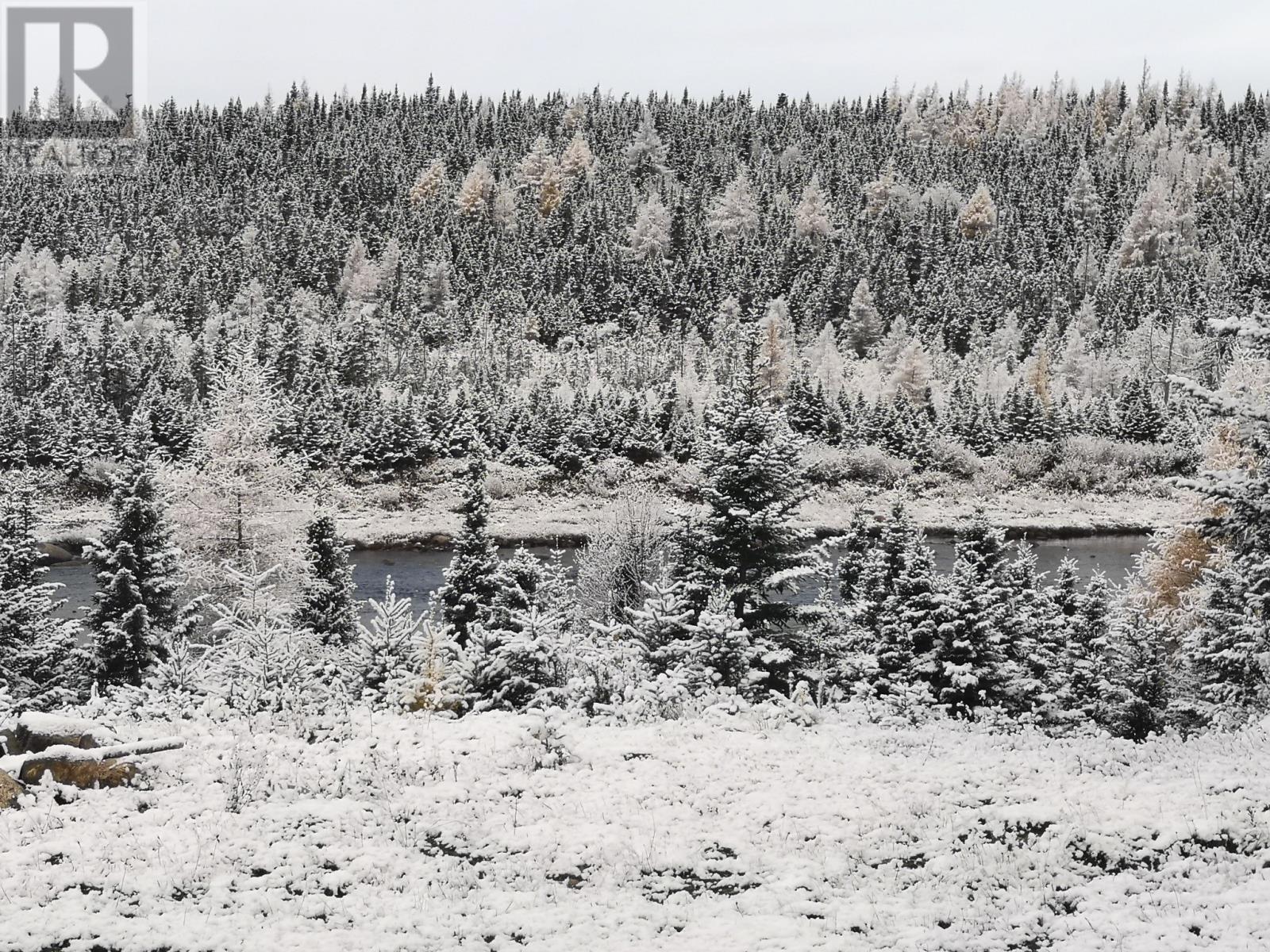 0 Star Lake Road, Buchans, Newfoundland & Labrador  A0H 1B0 - Photo 32 - 1301764