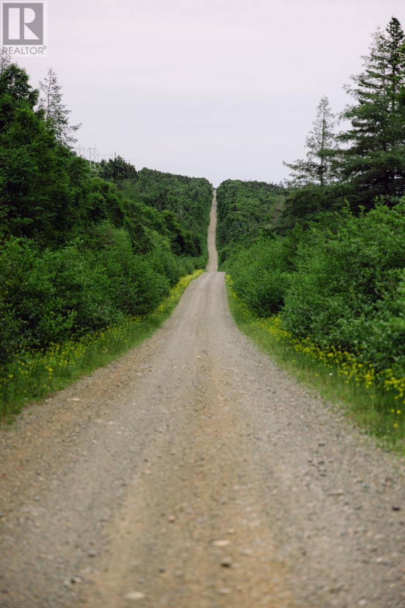 0 Star Lake Road, Buchans, Newfoundland & Labrador  A0H 1B0 - Photo 33 - 1301764