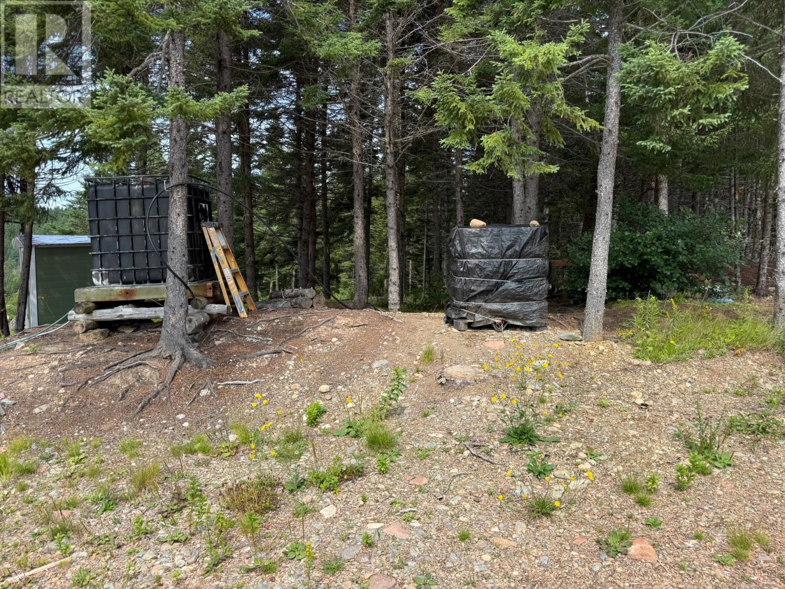 0 Star Lake Road, Buchans, Newfoundland & Labrador  A0H 1B0 - Photo 39 - 1301764