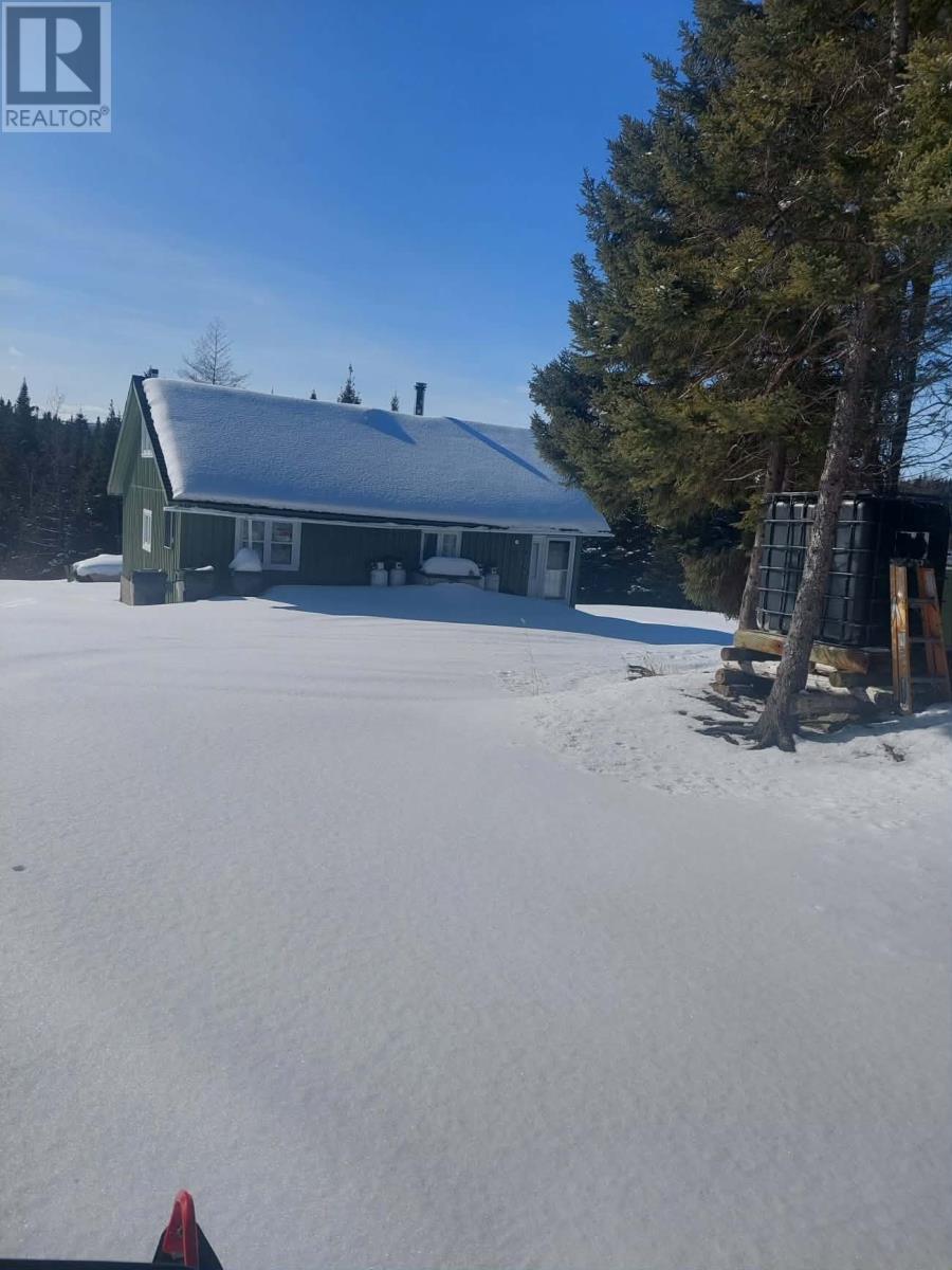 0 Star Lake Road, Buchans, Newfoundland & Labrador  A0H 1B0 - Photo 5 - 1301764