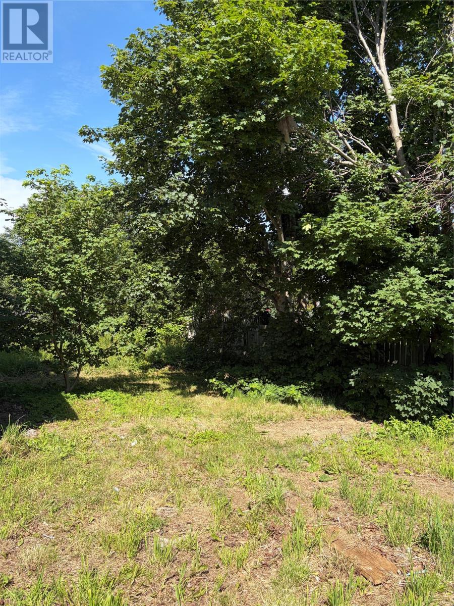 338 Airport Heights Drive, St. John's, Newfoundland & Labrador  A1A 4X9 - Photo 20 - 1301752