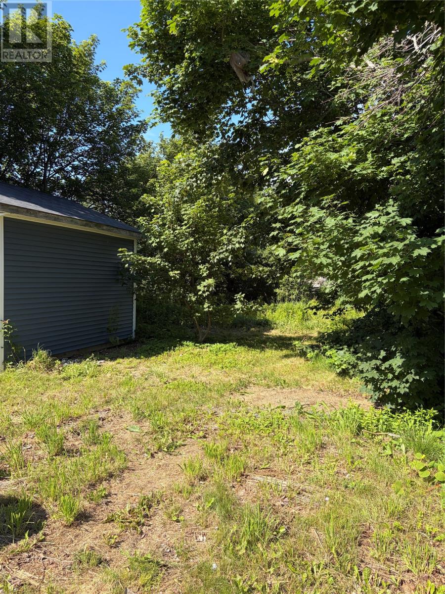 338 Airport Heights Drive, St. John's, Newfoundland & Labrador  A1A 4X9 - Photo 21 - 1301752