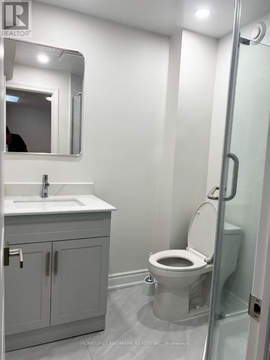 Basement - 17 Ferncliffe Crescent, Markham, Ontario  L3S 4N9 - Photo 6 - N13671068