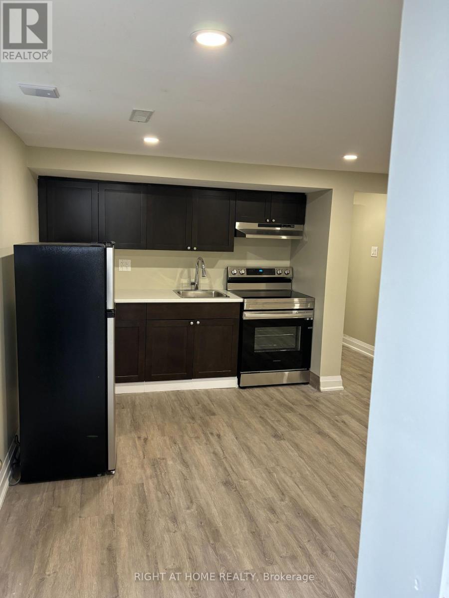 Basement - 17 Hollis Court, Brampton, Ontario L6S 1R2 - Photo 2 - W13497822