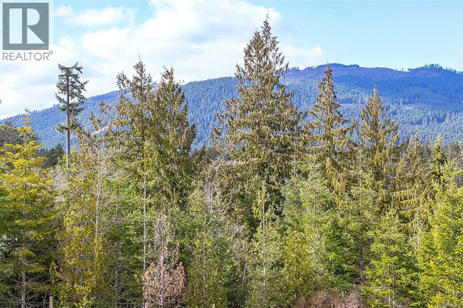 2840 Woodcroft Pl, Shawnigan Lake, British Columbia  V0R 2W1 - Photo 38 - 1046733
