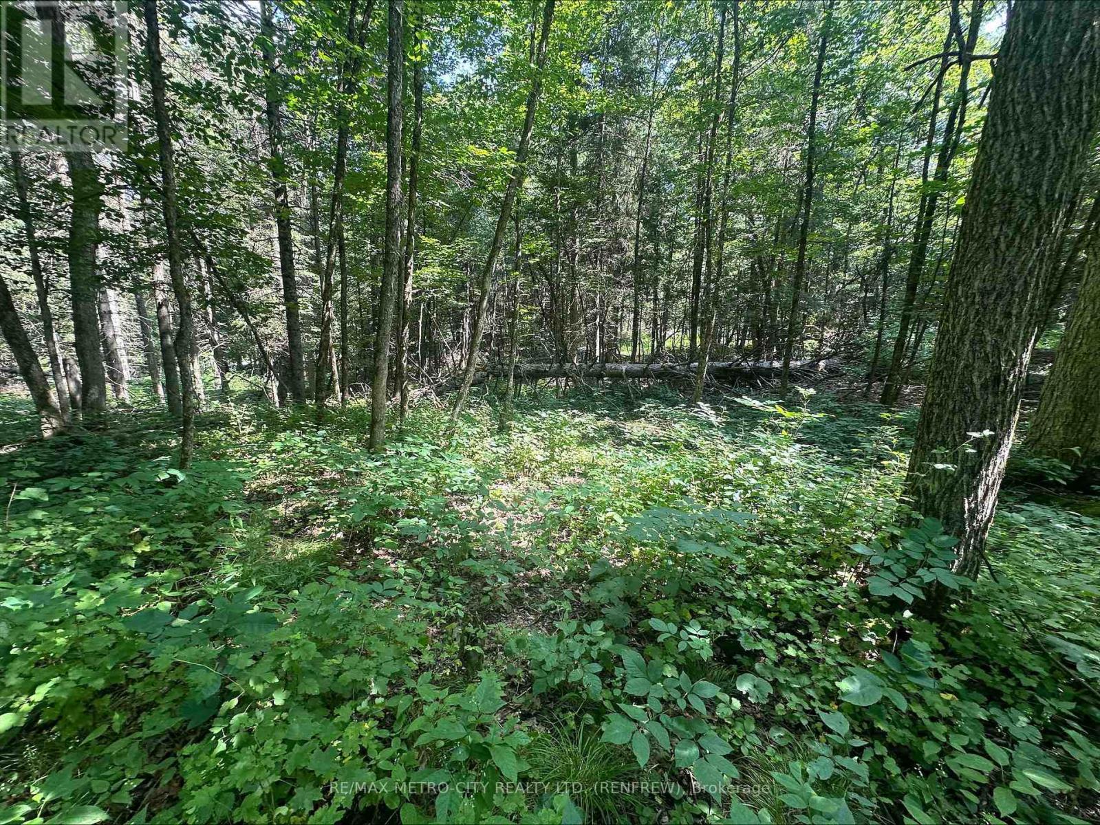 0 Mount St Patrick Road, Admaston/bromley, Ontario  K0J 1N0 - Photo 11 - X13671206