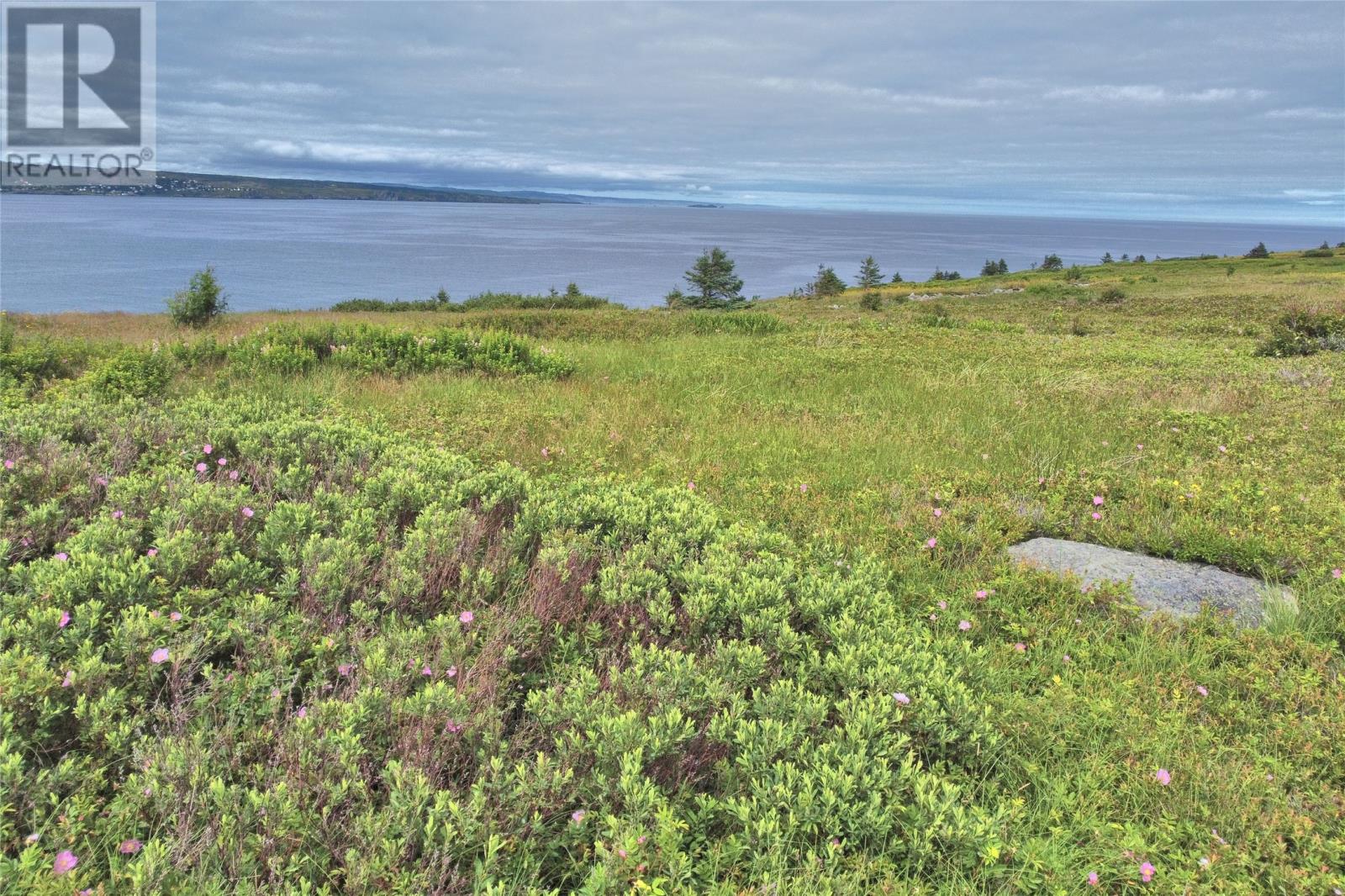 Lot 3 Lighthouse Road, Port De Grave, Newfoundland & Labrador  A0A 3J0 - Photo 4 - 1301475