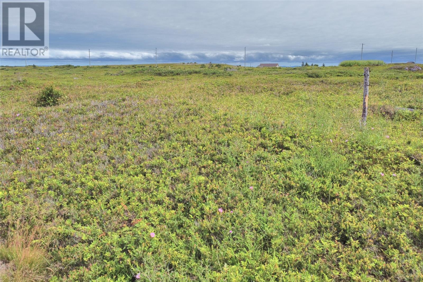 Lot 2 Lighthouse Road, Port De Grave, Newfoundland & Labrador  A0A 3J0 - Photo 3 - 1301472