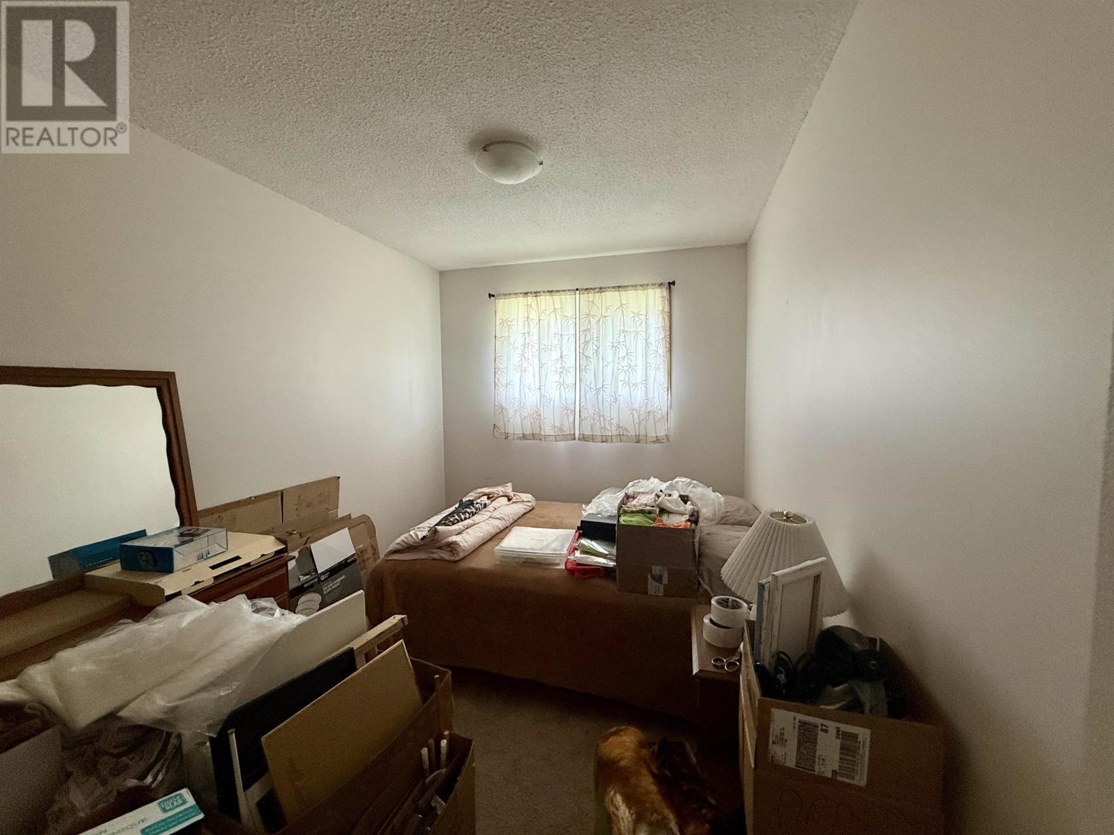 115 James St N, Thunder Bay, Ontario  P7E 2V3 - Photo 6 - TB2602348