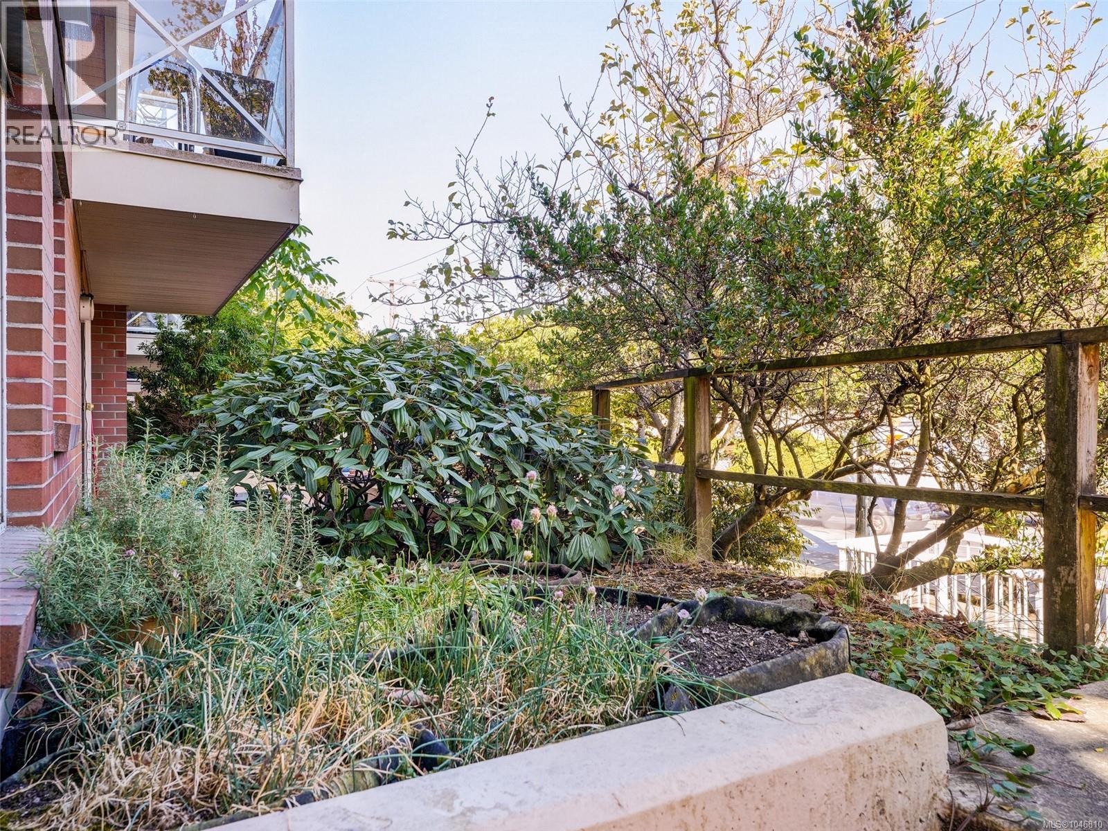 109 1371 Hillside Ave, Victoria, British Columbia  V8T 2B3 - Photo 25 - 1046810
