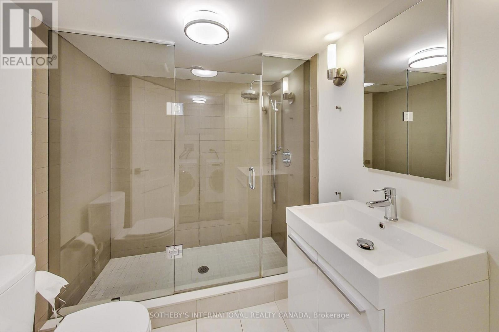 Lower - 669 Euclid Avenue, Toronto, Ontario  M6G 2T8 - Photo 10 - C13671340