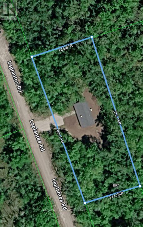 20 Laplante Road, Trent Lakes, Ontario  K0M 1A0 - Photo 4 - X13671438