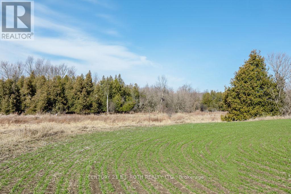 7468 25th Side Road, Adjala-Tosorontio, Ontario  L9R 1V1 - Photo 22 - N13671412