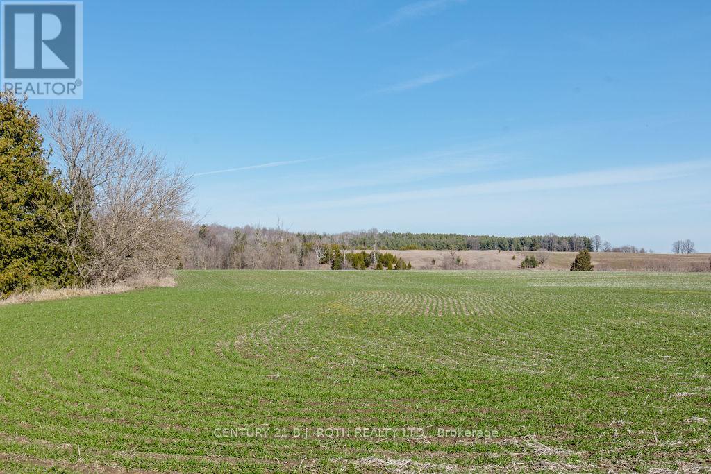 7468 25th Side Road, Adjala-Tosorontio, Ontario  L9R 1V1 - Photo 23 - N13671412