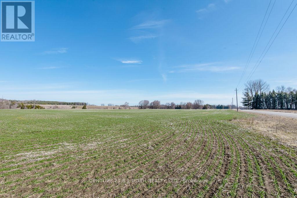 7468 25th Side Road, Adjala-Tosorontio, Ontario  L9R 1V1 - Photo 24 - N13671412