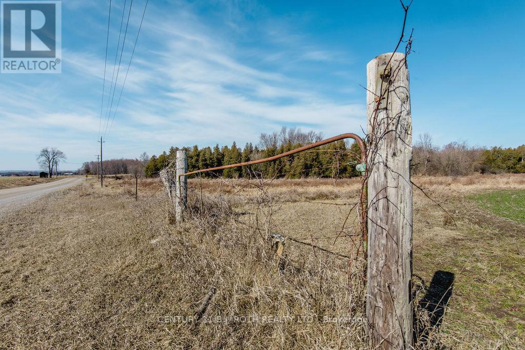 7468 25th Side Road, Adjala-Tosorontio, Ontario  L9R 1V1 - Photo 25 - N13671412