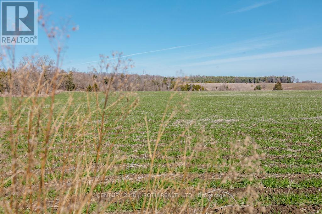 7468 25th Side Road, Adjala-Tosorontio, Ontario  L9R 1V1 - Photo 27 - N13671412