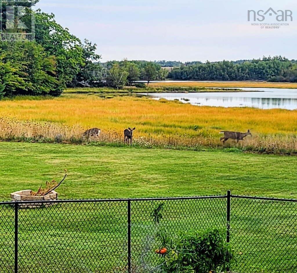 860 Granton Abercrombie Road, Abercrombie, Nova Scotia  B2H 5C6 - Photo 3 - 202614190
