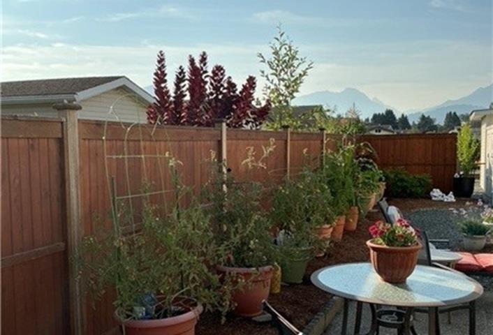 151 9055 Ashwell Road, Chilliwack Proper West, Chilliwack, British Columbia  V2P 7S6 - Photo 37 - R3155332