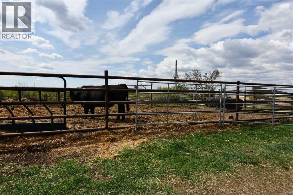14123 Township Road 404, Rural Flagstaff County, Alberta  T0B 1N0 - Photo 18 - A2314170