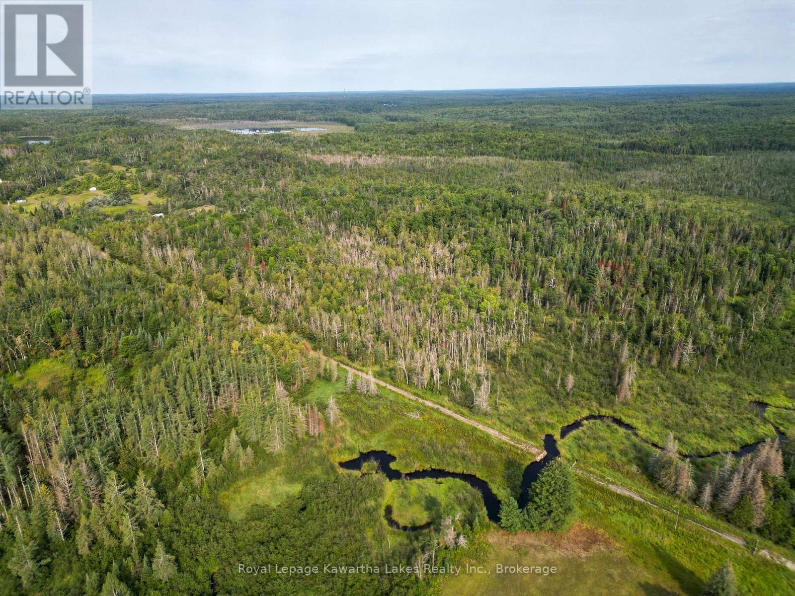 Lt 4 Dutch Line Road W, Trent Lakes, Ontario K0M 2A0 - Photo 1 - X13670424