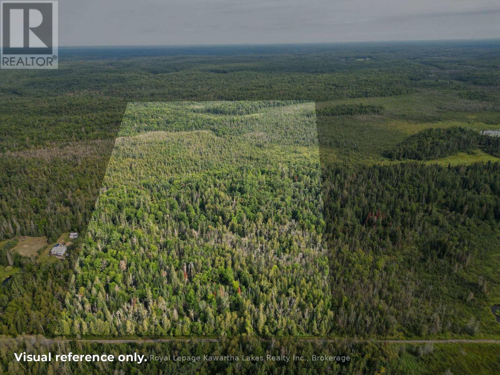 Lt 4 Dutch Line Road W, Trent Lakes, Ontario K0M 2A0 - Photo 2 - X13670424