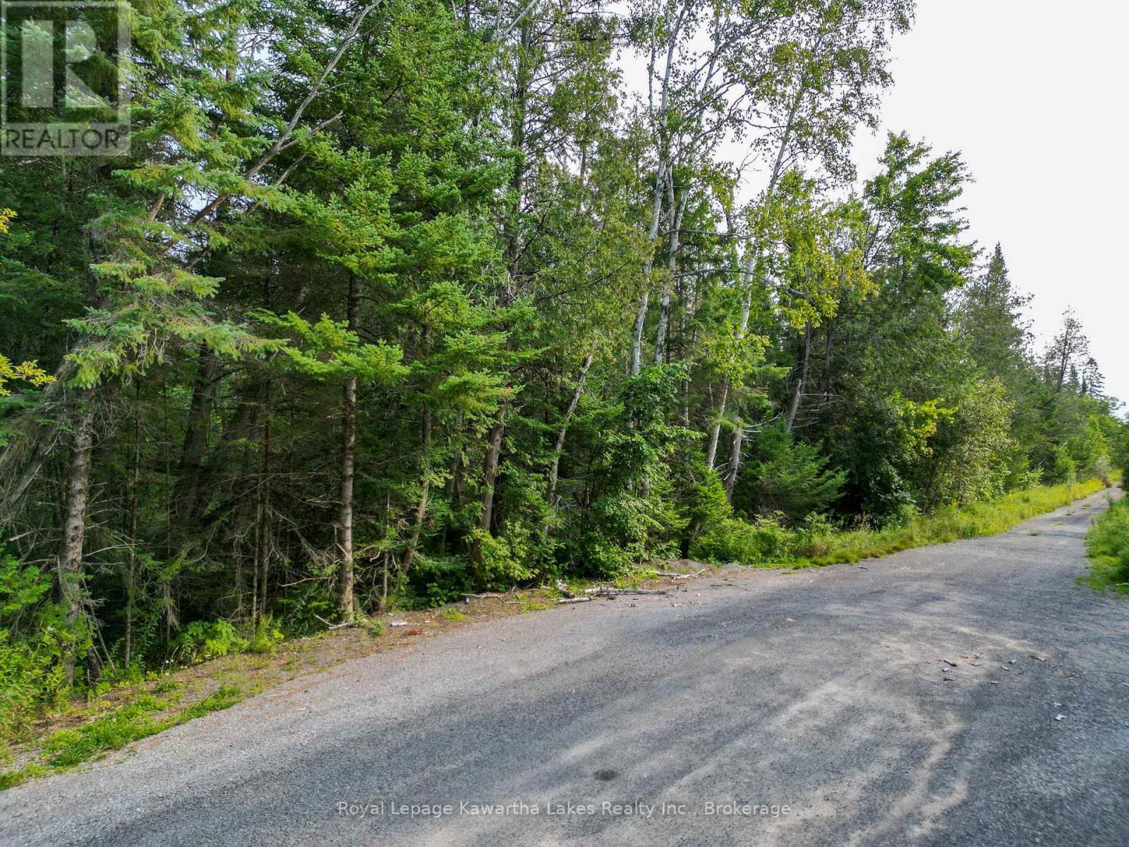 Lt 4 Dutch Line Road W, Trent Lakes, Ontario K0M 2A0 - Photo 4 - X13670424