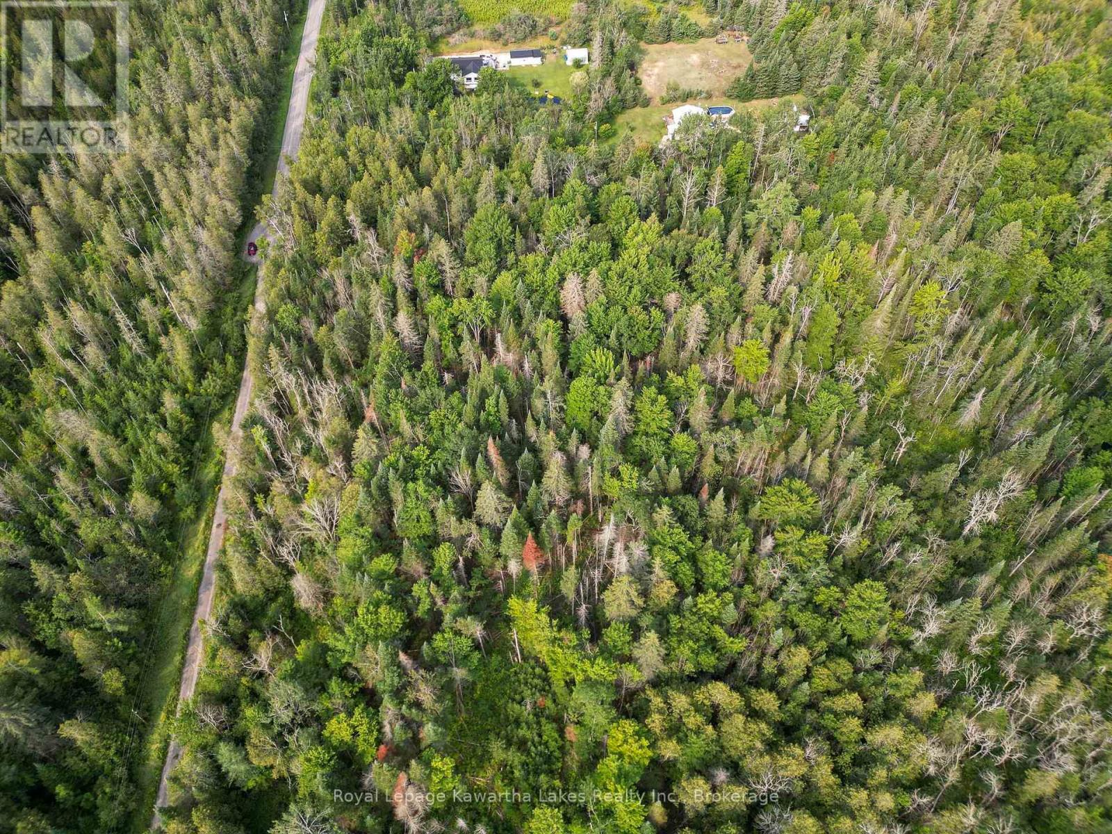 Lt 4 Dutch Line Road W, Trent Lakes, Ontario K0M 2A0 - Photo 3 - X13670424