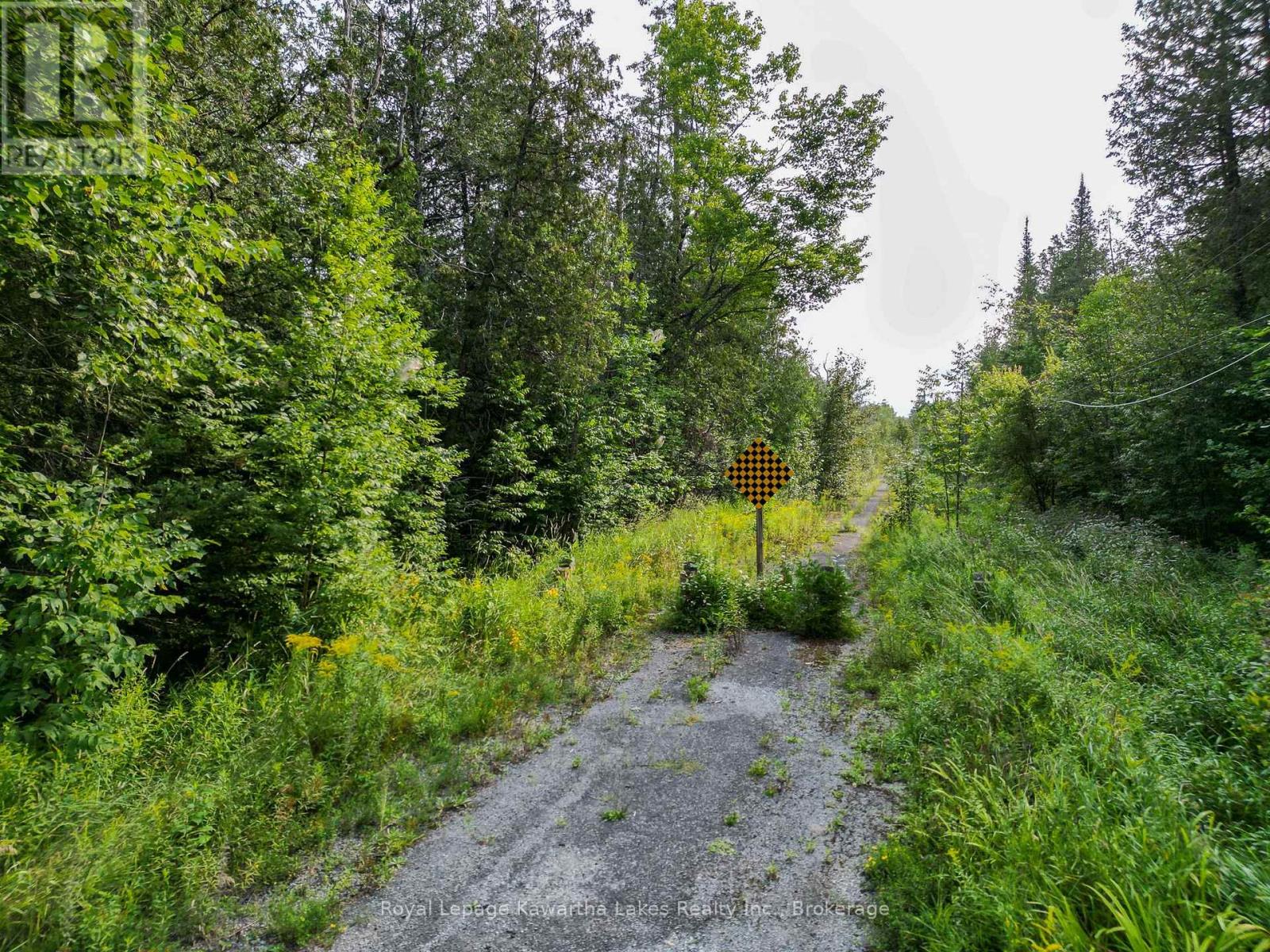 Lt 4 Dutch Line Road W, Trent Lakes, Ontario K0M 2A0 - Photo 5 - X13670424